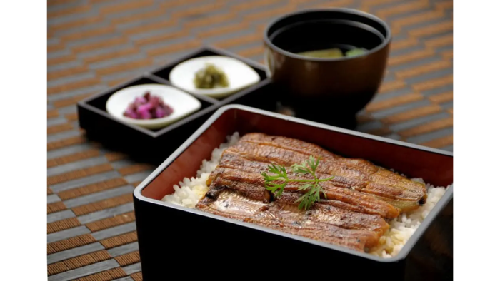 Unagi