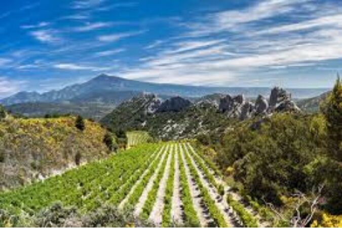 Rhône Valley