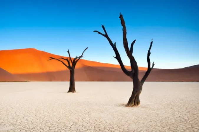NAMIB-NAUKLUFT NATIONAL PARK, NAMIBIA