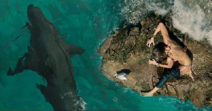The Shallows
